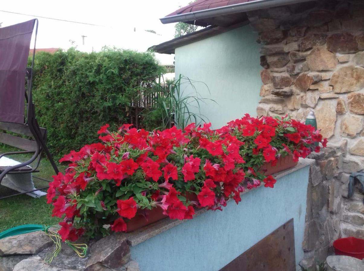 Apartmany Na Hline Třeboň Exteriör bild