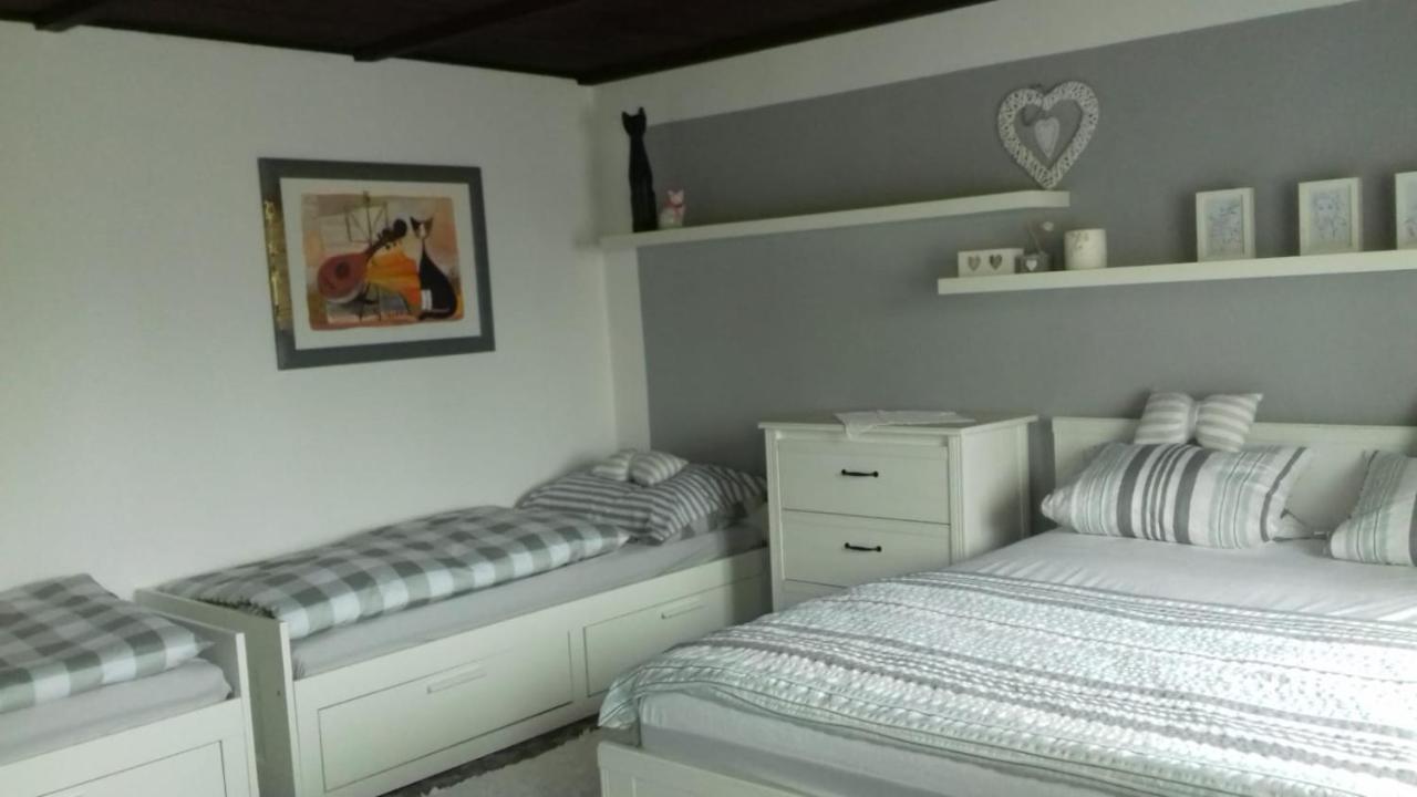 Apartmany Na Hline Třeboň Exteriör bild