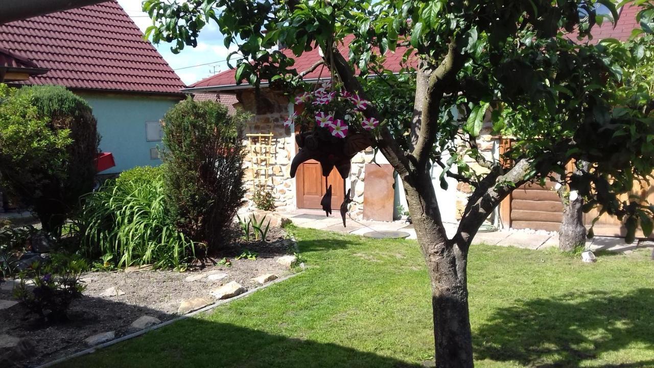 Apartmany Na Hline Třeboň Exteriör bild